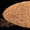 12 Pack: Extra Fine Glitter by Recollections™, 1.5oz.